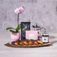 Read Hazelton\'s Canada Reviews